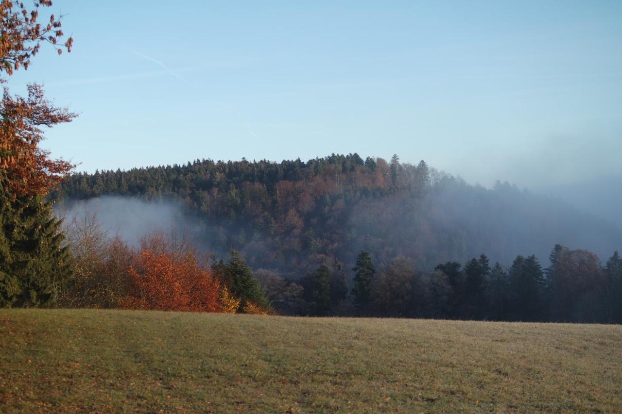 Alb Chalet Messstetten Dış mekan fotoğraf