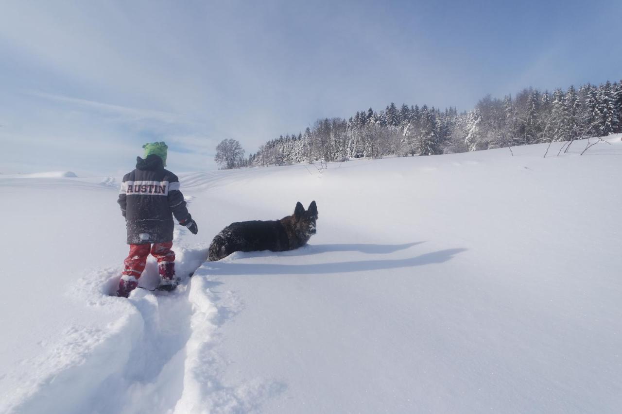 Alb Chalet Messstetten Dış mekan fotoğraf